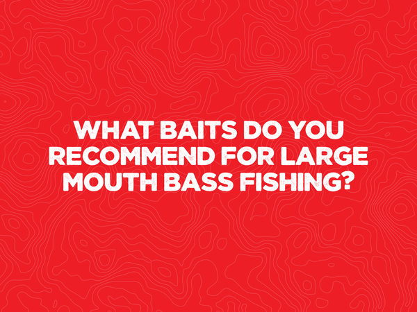 What baits do you recommend for Large Mouth Bass fishing?