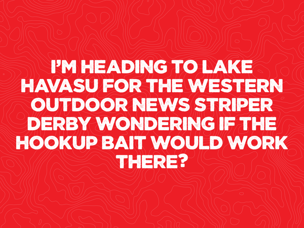 I’m heading to Lake Havasu for the western outdoor news striper derby wondering if the hookup bait would work there?