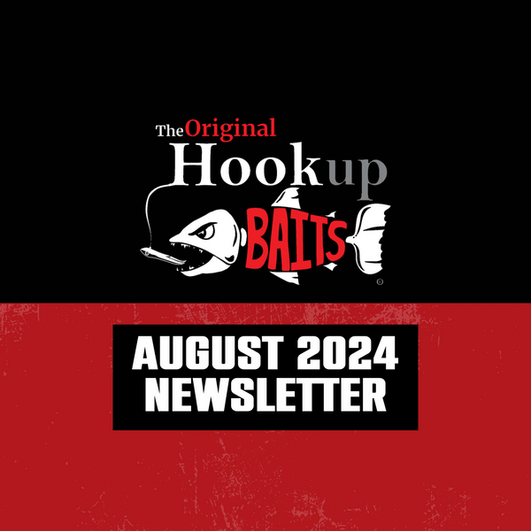 Our August 2024 Newsletter