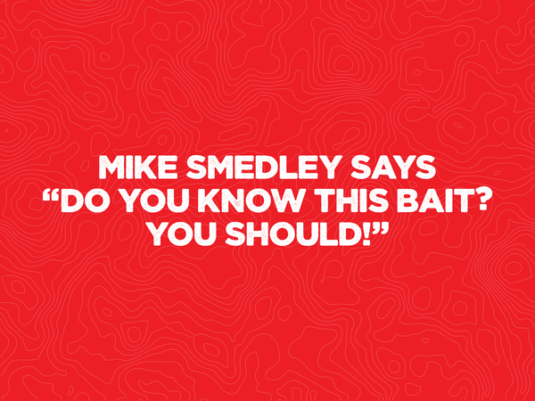 Mike Smedley Says “Do you know this Bait? You Should!”