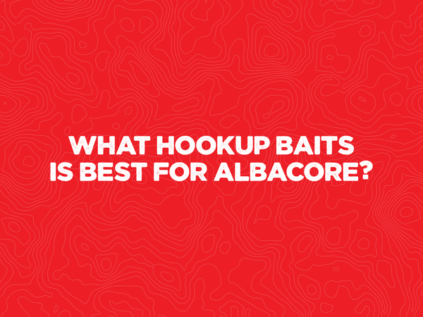What Hookup Baits is best for Albacore?