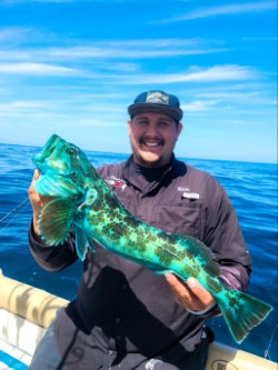 Beautiful Lingcod caught on Hookup Baits!